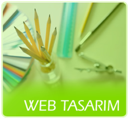 Pendik Web Tasarm Kursu